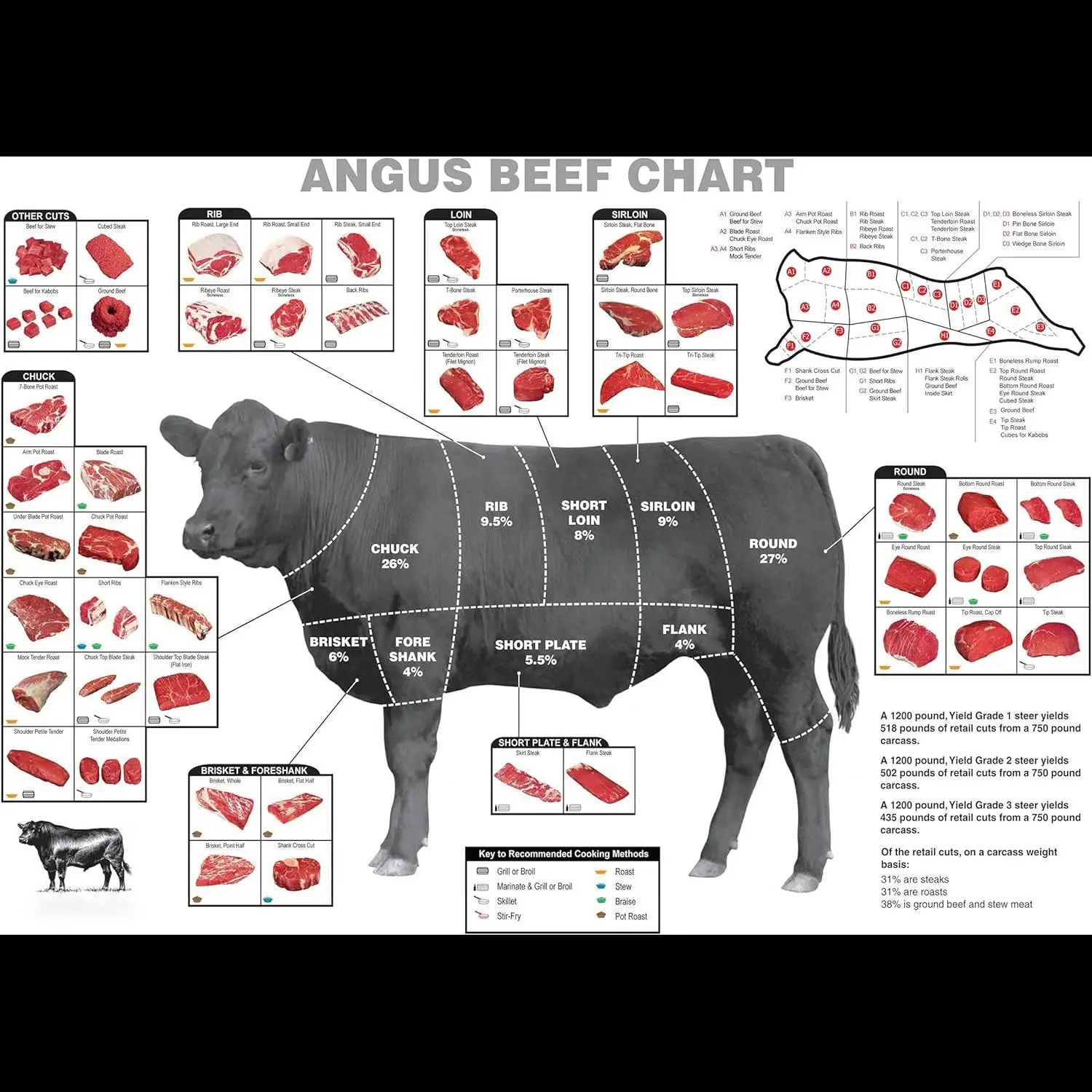 Decor Print Store Laminated Poster x Angus Beef Cuts Butcher Charts  How To Cook Photo Artwork for Kitchen Wall Decor