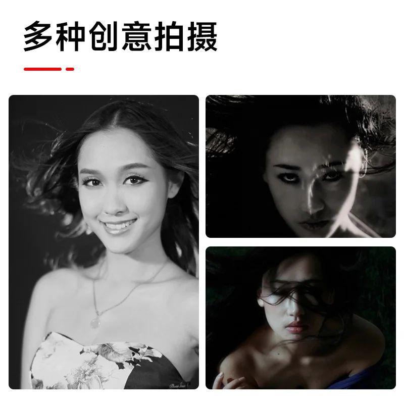 220v NICE Professional Photography dedicated hair Fan for studio flash SF-01 Free DHL