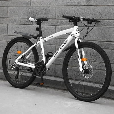 24/26inch High carbon steel frame Mountain bike 21/24/27speed Double disc brake variable speed Shock absorption off-road Bicycle