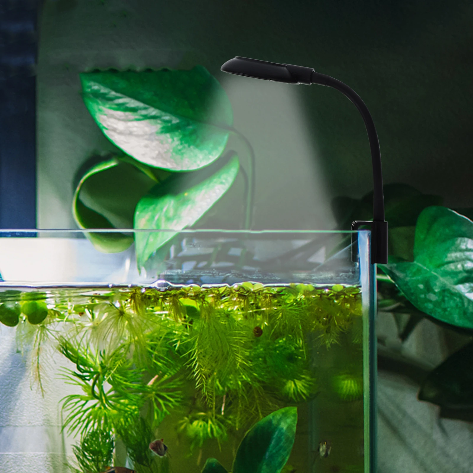 

Fish Tank USB Light Y300COB Mini Aquarium Clip Lamp LED Night Shrimp Betta Small Tank Accessories Holder Lighting