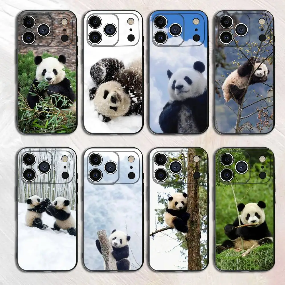 

Cute Panda Black Matte Phone Case For iPhone 17,16,15,14,13,12,13,12,11 Pro Max Plus mini XS XR Silicone Soft Back Cover