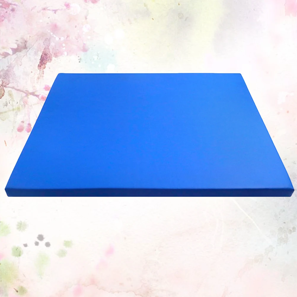 

Reusable Disinfection Entry Rug Sponge Sole Mat Floor Doormat Boot Cleaning Pad Blue Size S Easy Clean Absorbent Mat For