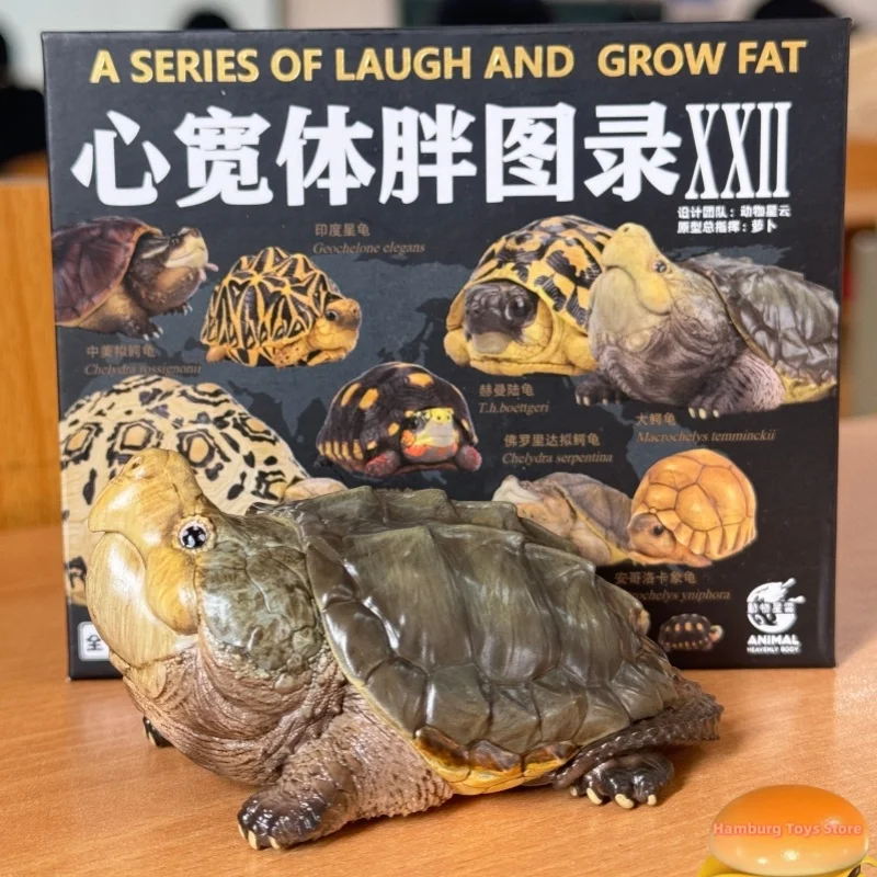 

Popular Pet turtle 6-8cm Animal Planet Heart Wide Body Fat Series Dumb Little Turtle Crawling Pet Mini Resin Animal Model Toys
