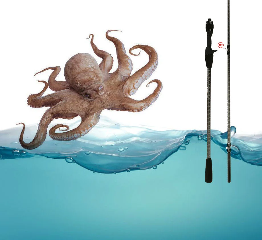 Johncoo Angelrute zum Gießen, Jigging-Rute, 1,7 m, ML, Hanchi-Rute, Tintenfisch-Angelrute, Titanspitze, Oktopus, Fischerboot-Rute – Detail 3