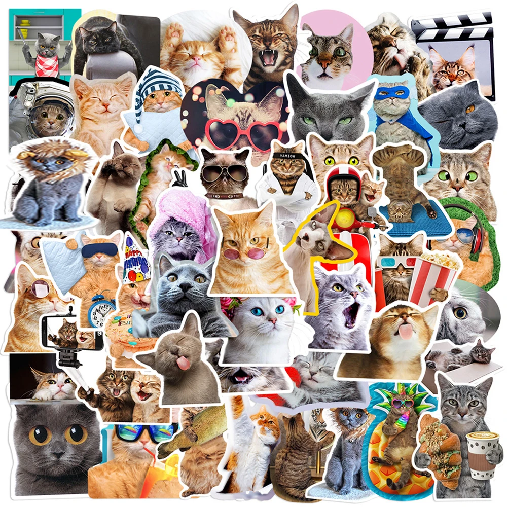 10/30/65 pçs gato bonito meme animais engraçados adesivos kawaii dos desenhos animados decalques portátil guitarra telefone mala notebook decoração adesivo