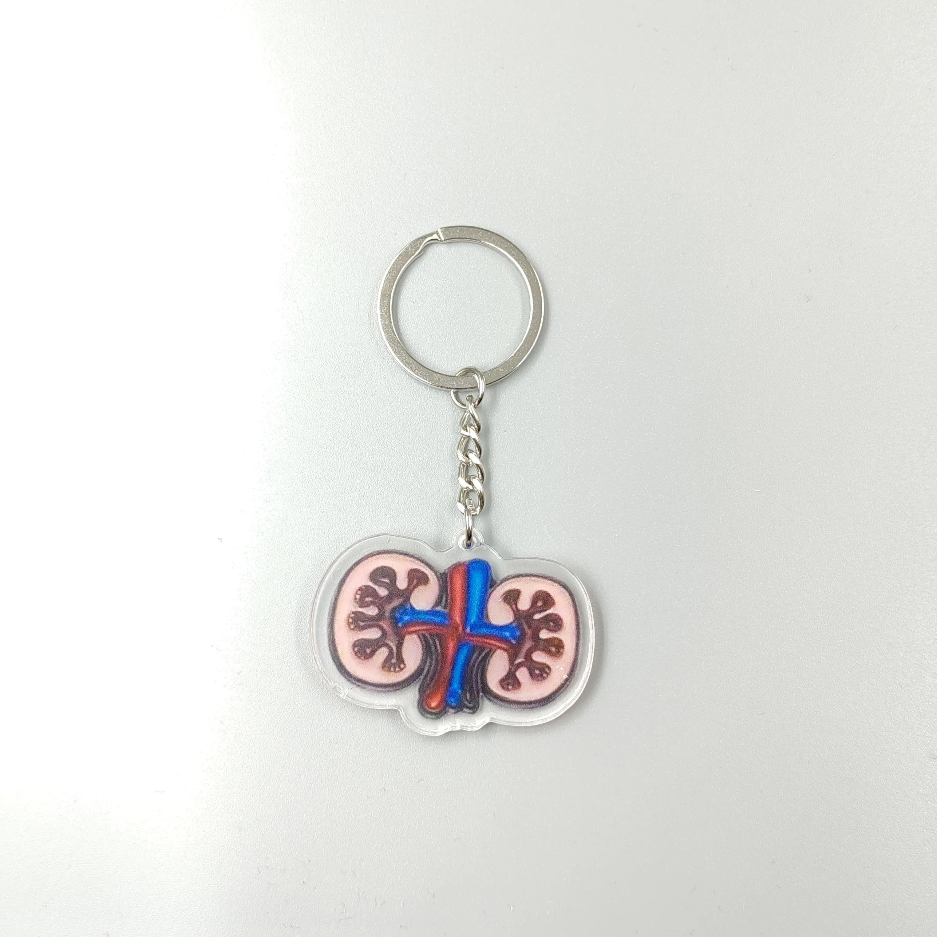 Human Medical Brooch Skeletal Visceral Neurological Brain Small Blood Tissue Biology Chemistry Pins Doctor keychain For Men