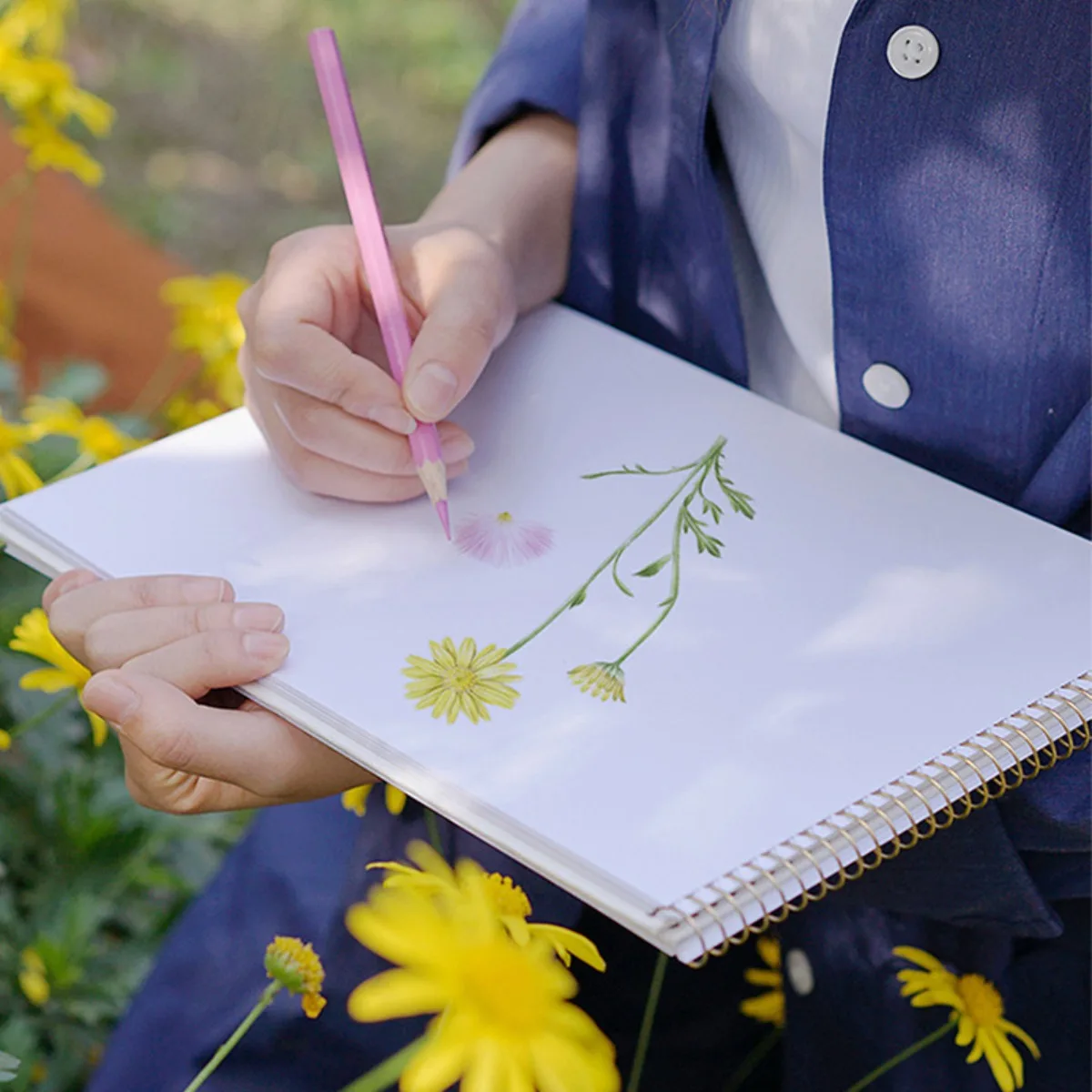 Papier de peinture au plomb coloré, croquis d'artiste de retour à l'école en plein air, voyage peint à la main, fournitures d'art de dessin, papeterie