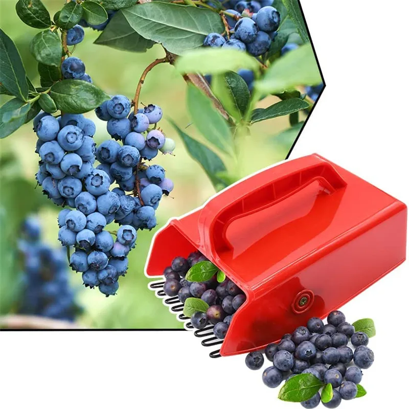 Pemetik Blueberry dengan pegangan anggur, ceri, alat koleksi tomat kecil alat pemetik buah efisiensi tinggi alat Taman