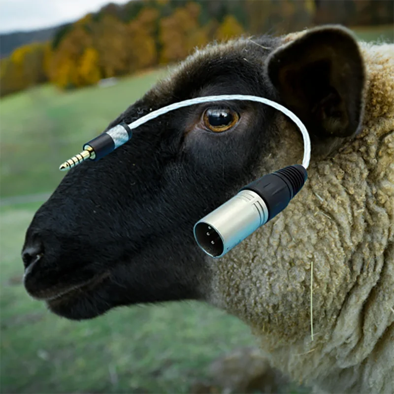 

Reference-Grade 4.4mm to XLR4 Adapter - 7N OCC Silver w/Cryo-Treated Terminals for Balanced Amps​