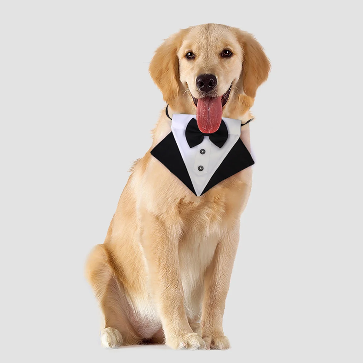 

1Set Pet Bib Collar Dog Bow Tie Stylish Drool Bib Bandana Pet Saliva Collar for Outdoor Photos and Saliva