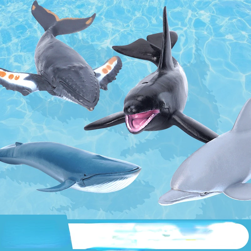 

Kids' Simulated Marine Animal Model Shark Dolphin Whale Sand Table Cognitive Teaching Aids and Ornaments for Landscape Design