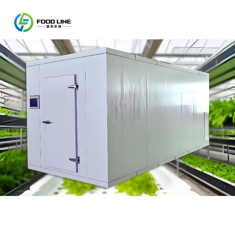 Customized 40FT/20FT Container Greenhouse Superfarm NFT Hydroponics System Shipping Container Farm for Growing Leafy Vegetables