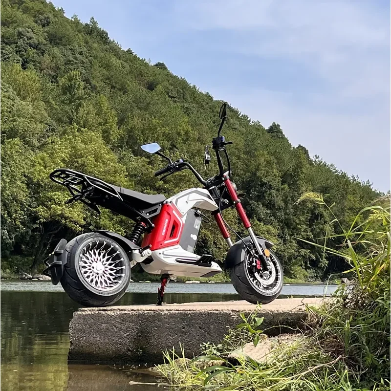 STROVAN 4000W 60V40AH Removable Battery Two-wheel Fat Tire EEC Certified Scooter with Seat for Adult 75KM/H