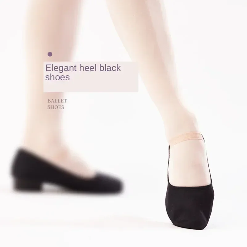 Nuevos zapatos de baile de lona con personajes, calzado de baile de Jazz para niños, adultos, mujeres, hombres, flamenco, escenario, Ballet moderno, contemporáneo