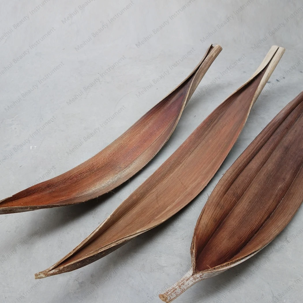 Giant Branches, Dry Leaves, Dry Shells, Decorative Flowers, Home Furnishings, Gifts
