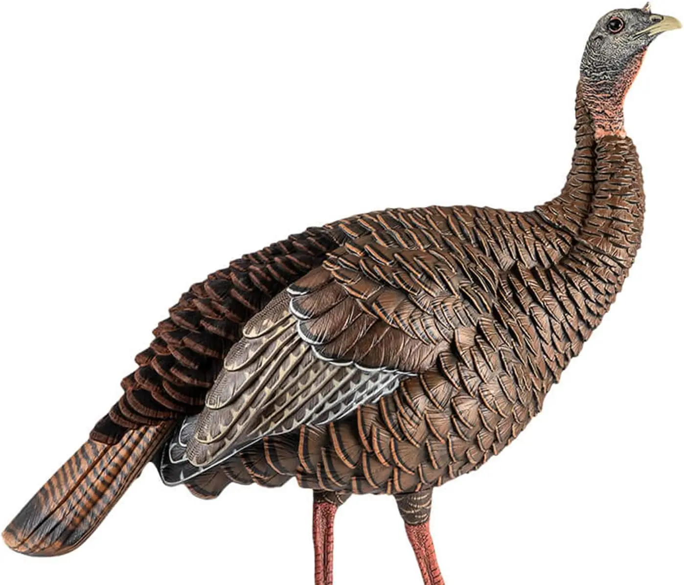 Hen Turkey Decoy | Durable Realistic Lifelike Standing Hunting Decoy with 2 Removable Heads, Carry Bag & Integrated