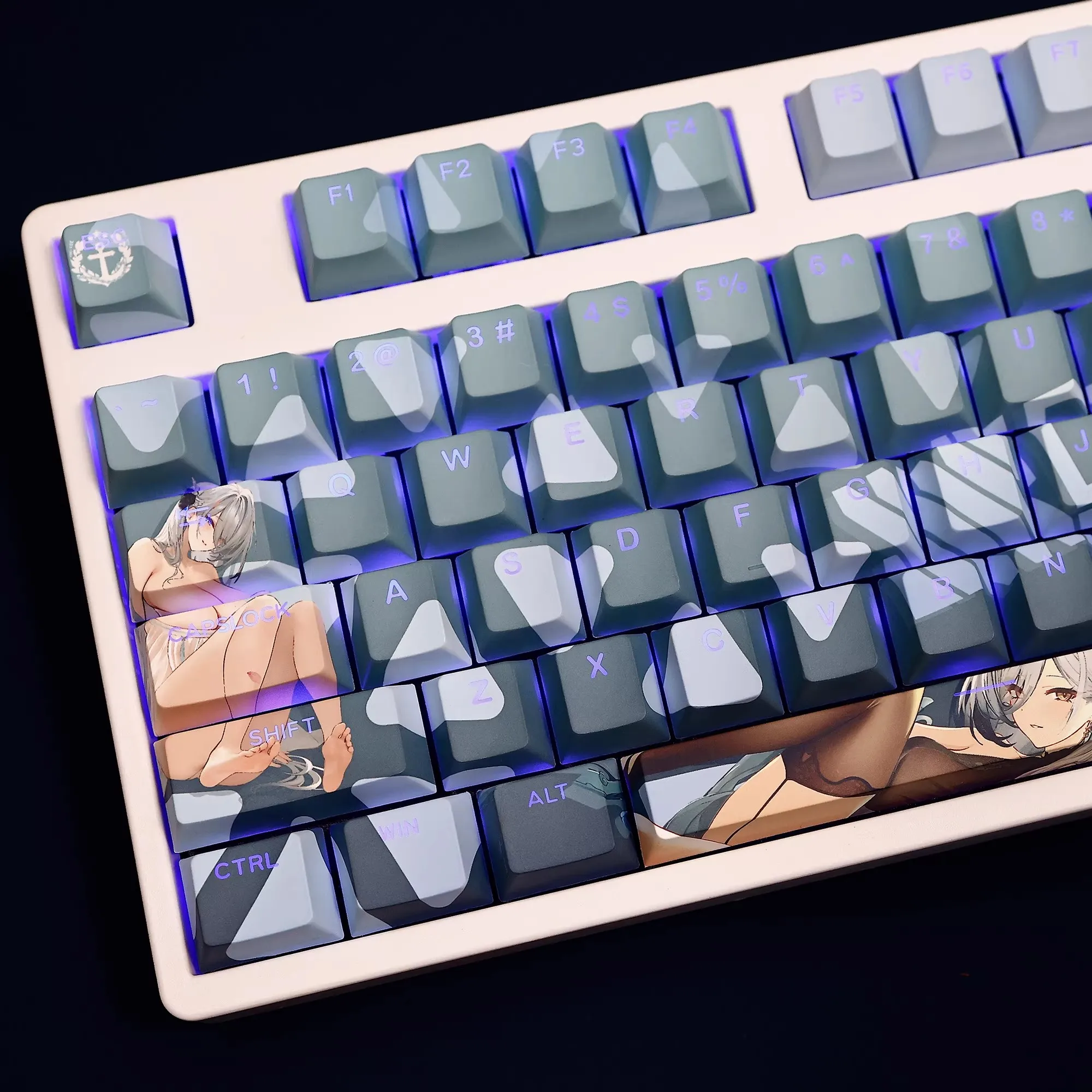 108 Keys/set Zhangwu Backlit Keycaps PBT Dye-Sublimation Anime Key Caps For ANSI 61 87 104 108 Keyboard