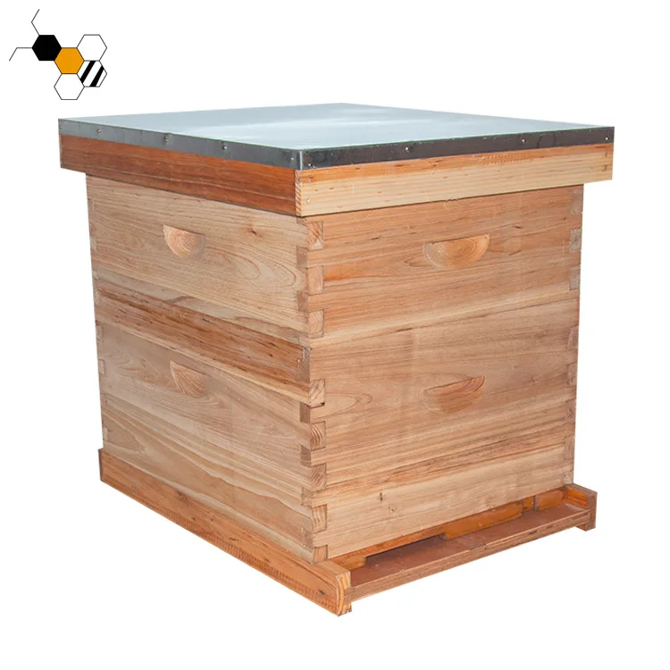 

Beehive Standard Box Double Hive Fir Bee Box Beekeeping Tools