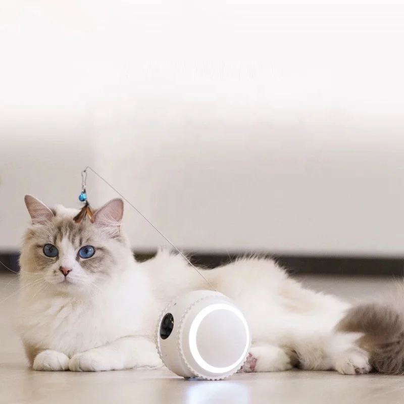 

Wholesale Smart AI Robot Interactive Rolling Ball With FHD Wireless Control Via Smart App For Cats Dogs Pet Companion