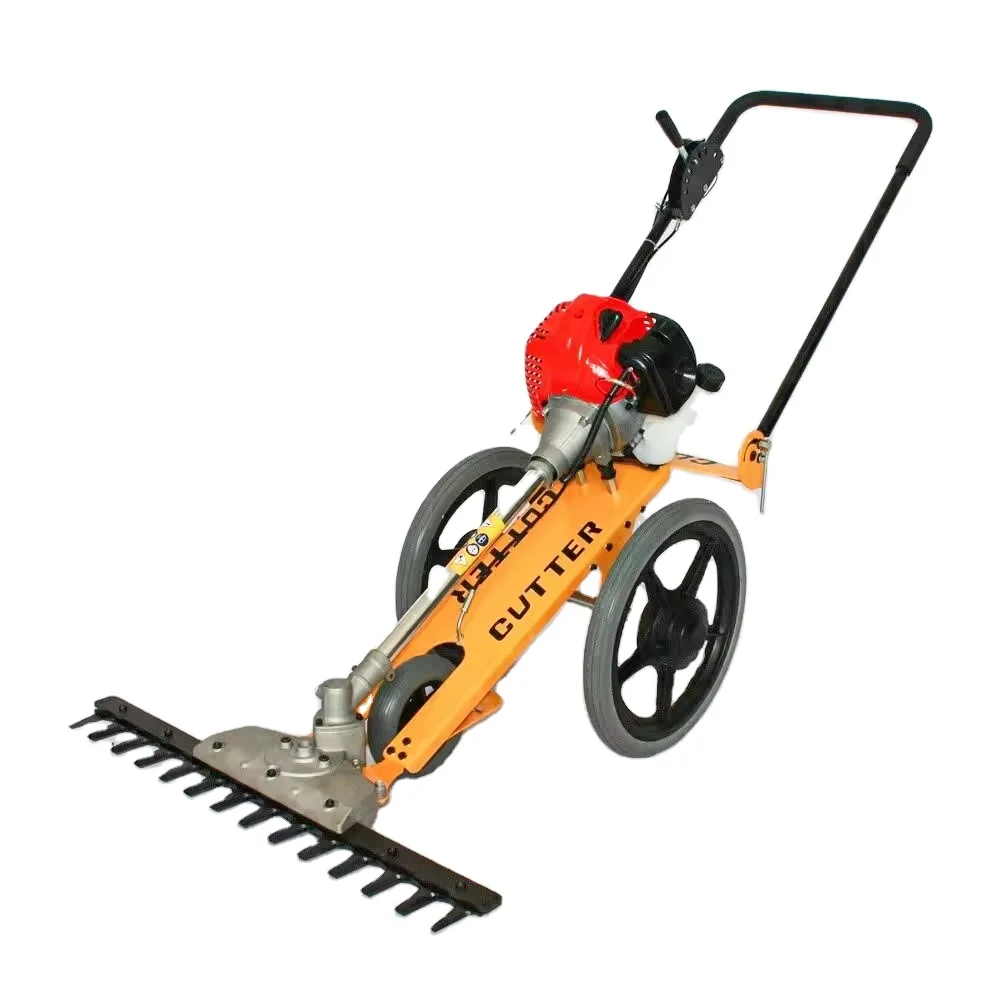 LARIX 4 Zamanlı Benzinli/Benzinli El İtmeli Çim Biçme Makinesi Küçük Çim Biçme Makinesi Çim Kesici Satılık Fabrika Fiyatı ile