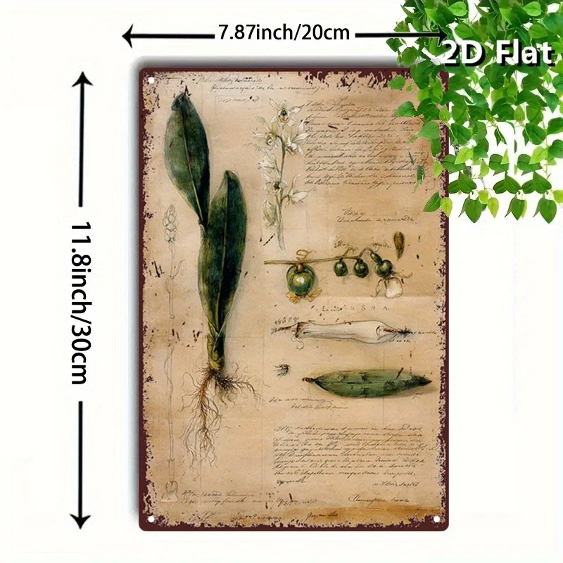 CIFBUY Vintage Plant Aluminum Wall Art Waterproof Metal Poster for Office Clinic Pharmacy Education Decor
