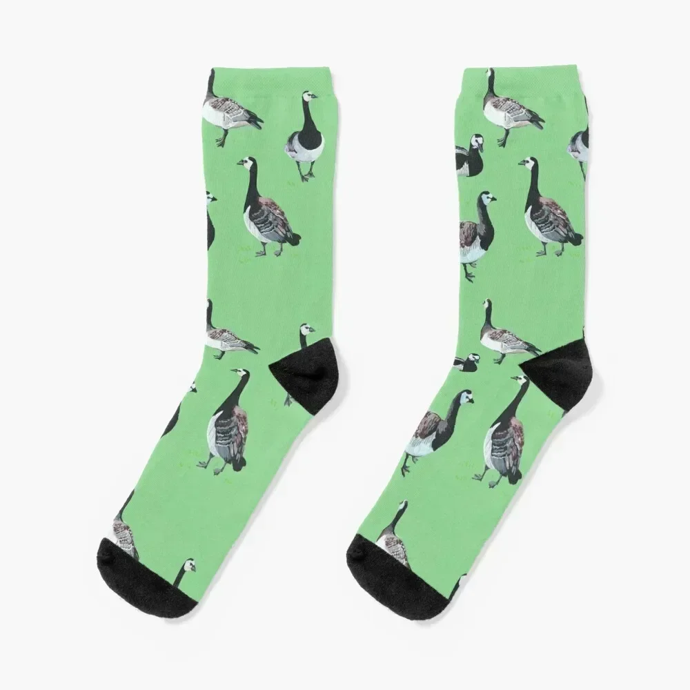 

Barnacle Geese [mint] Socks valentine gift ideas Men's Socks For Girls Men's