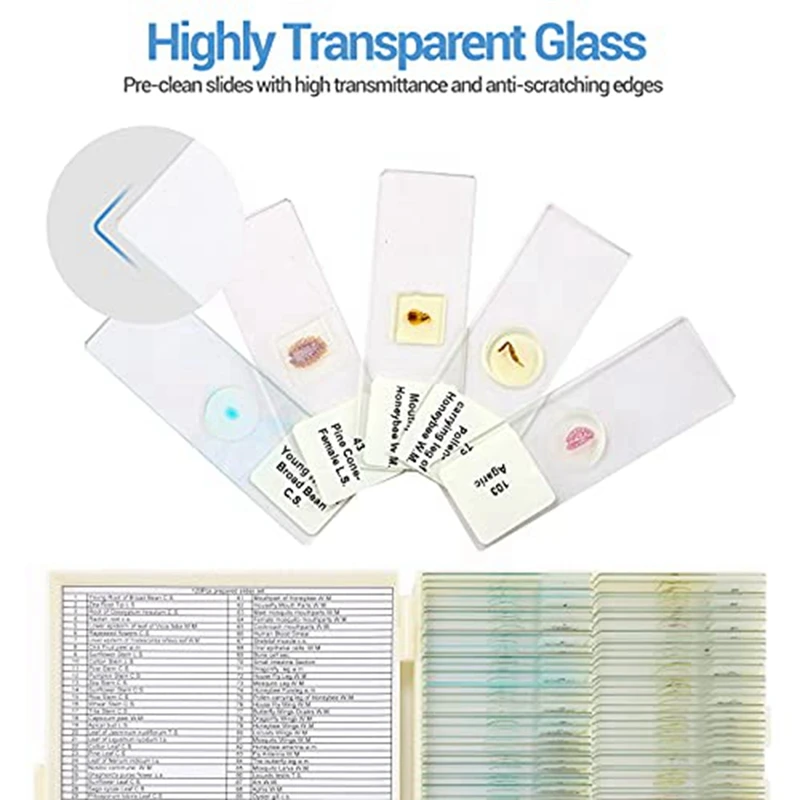 Microscope Slides With Specimens From Children, Microscope Slides For Adult Microbiology In Children,100PC