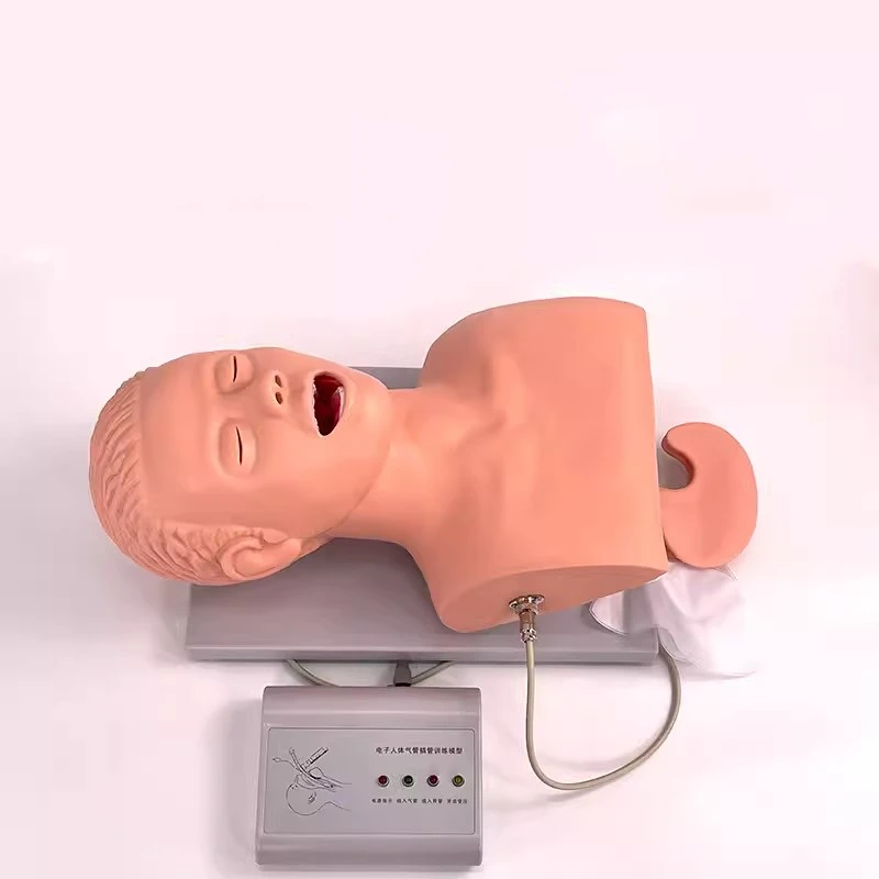 Adult Electronic Alarm Tracheal Intubation Teaching Model Nasal Intubation Airway Training Simulator
