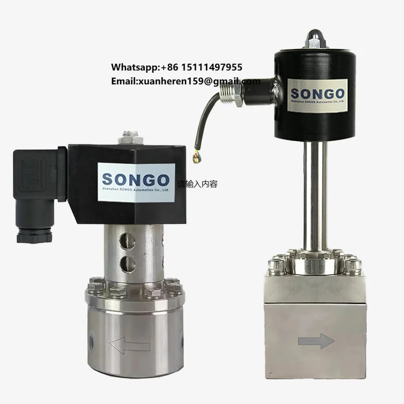 

Stainless Steel 304 Cryogenic Solenoid Valves Extended Stem Butt Weld Flange Thread Ultralow Temperature 24VDC Solenoid Valve