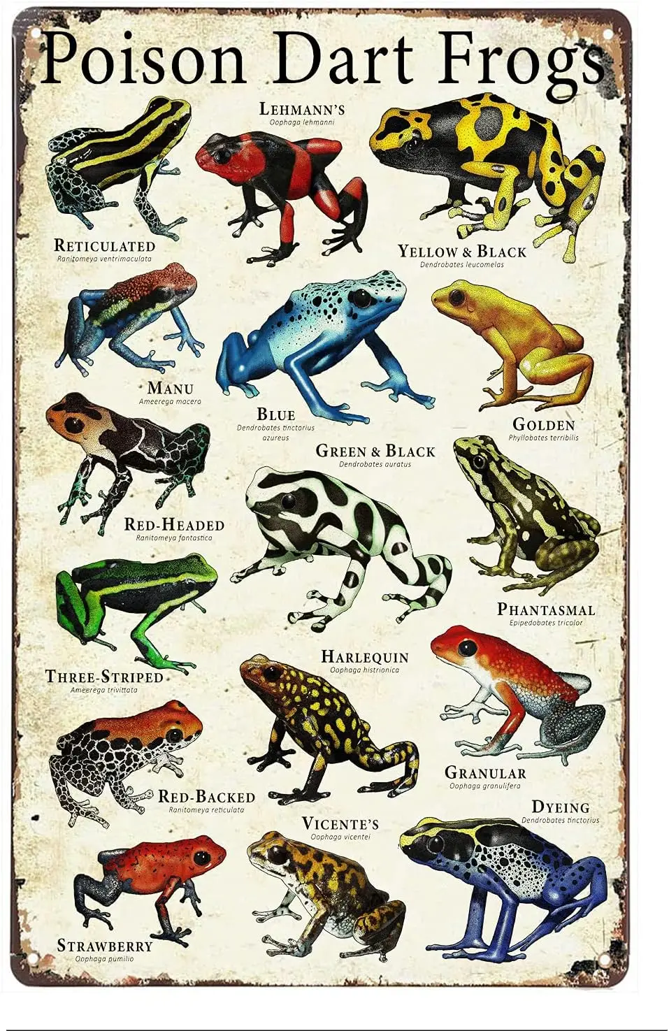 Dart Frogs Metal Poster Wall Plaque Tin Sign Retro Vintage Art Decor Gift Home Living Dining Room Office