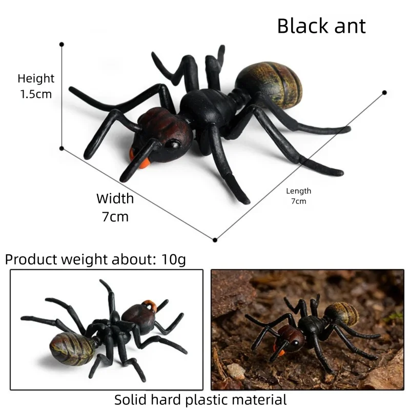 Oenux Realistic Insect Figurines Mosquito Swallowtail Caterpillar Cricket Ant Stag Beetle Mantis Bee Models for Collection