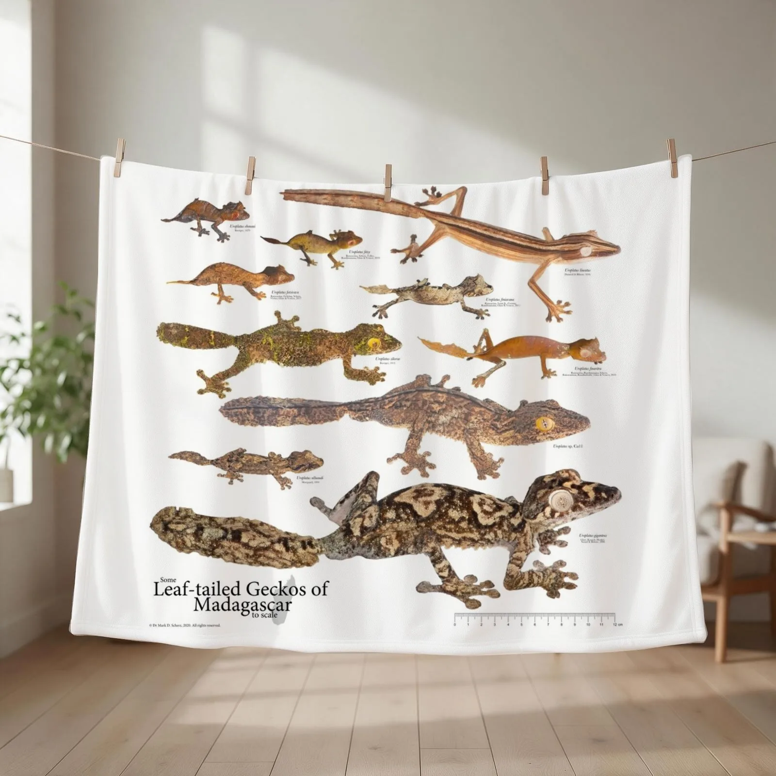 Some Leaf-Tailed Geckos of Madagascar to Scale, Version 1.0 Throw Blanket For Baby Multi-Purpose for winter Blankets