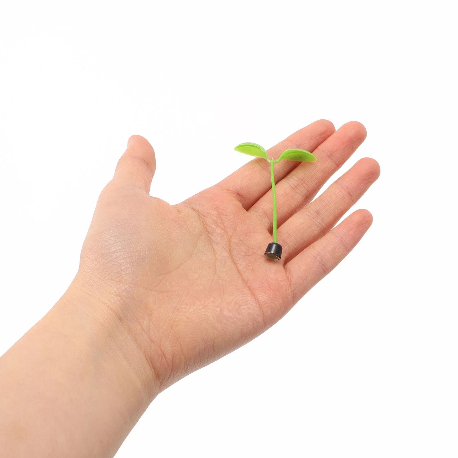 สติ๊กเกอร์ตกแต่งกระจกมองข้างรถยนต์รูปถั่วงอก 5 ชิ้น น่ารัก ใช้ได้กับรถยนต์ทุกรุ่น ติดตั้งง่าย ดีไซน์สร้างสรรค์ ตกแต่งภายนอกรถยนต์