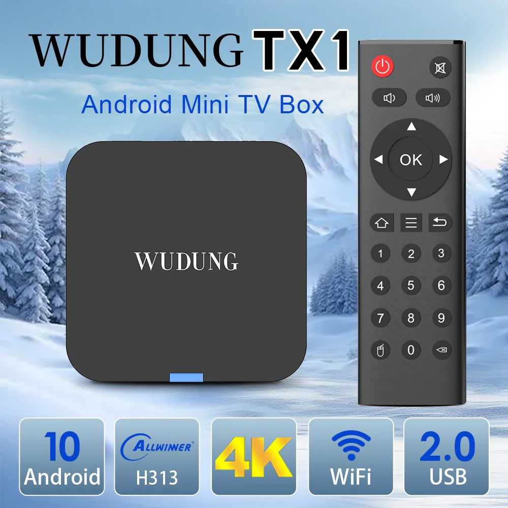 Mini Wudung Tx1 TV Box Android10 2.4G Wifi 4K HDR Set Top Box USB Super Mini Portable Video Movie TV Channel Media Player