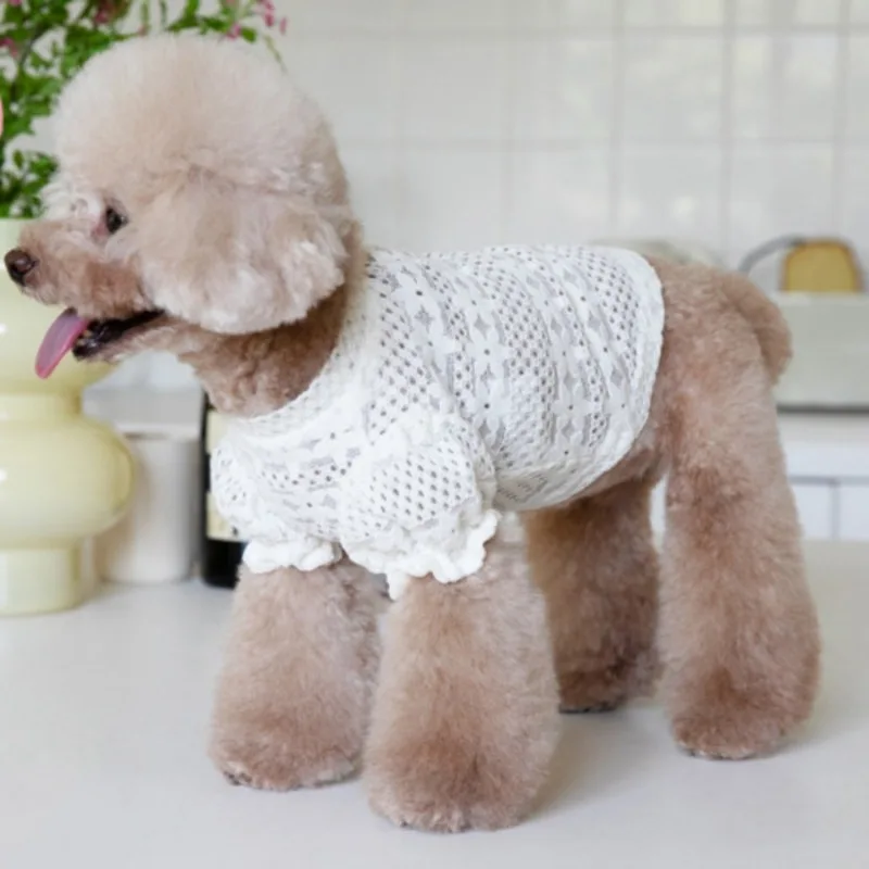 Dog Clothes Lace Winter Lace Lining Pet Dog Clothing For Small Dog Teddy Clothing Designer Dog Clothes Puppy Clothing Dog Shirt