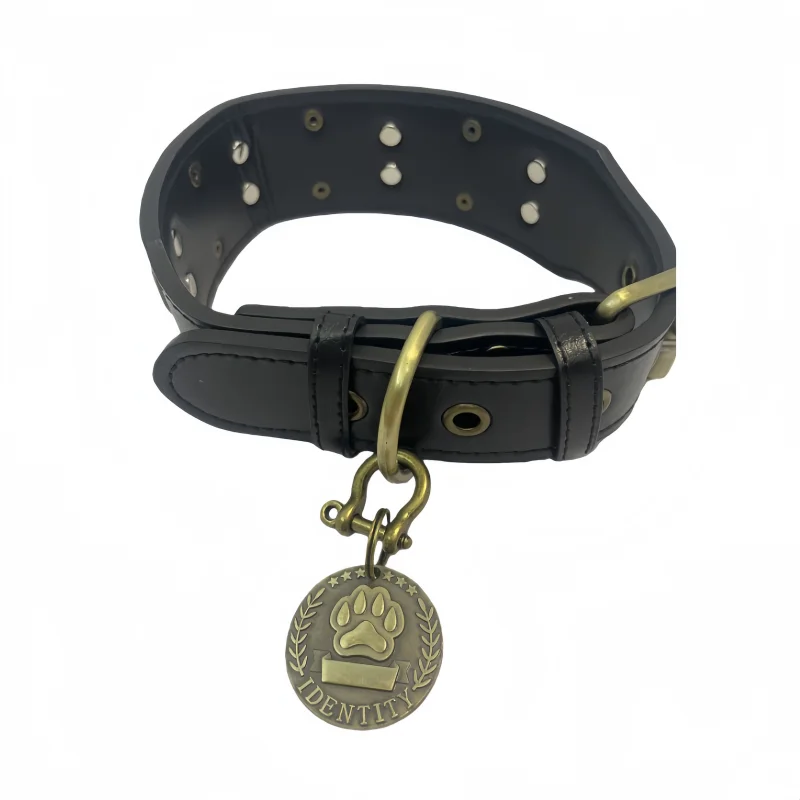Free Customized Pet ID Tags Made of Brass Laser Engraved with Personalized Names Phone Numbers  the Best Gift for Dog and Cat