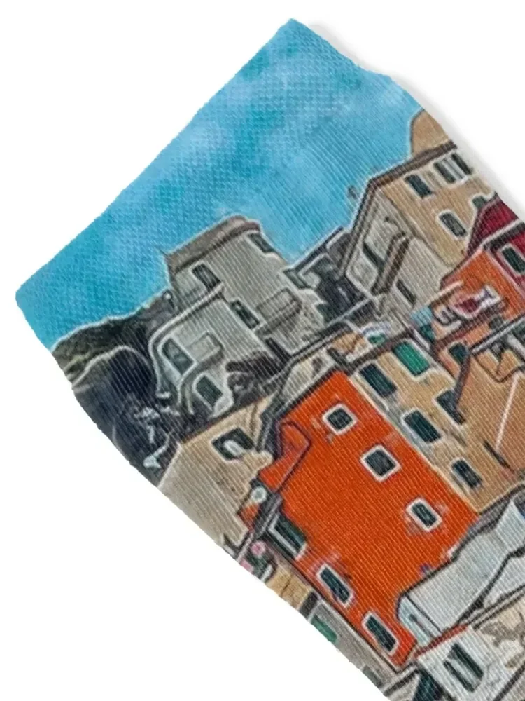 Beautiful View Manarola Cinque Terre Northern Italy, Manarola Cinque Terre Painting Art, Architecture Manarola Cinque Terr Socks