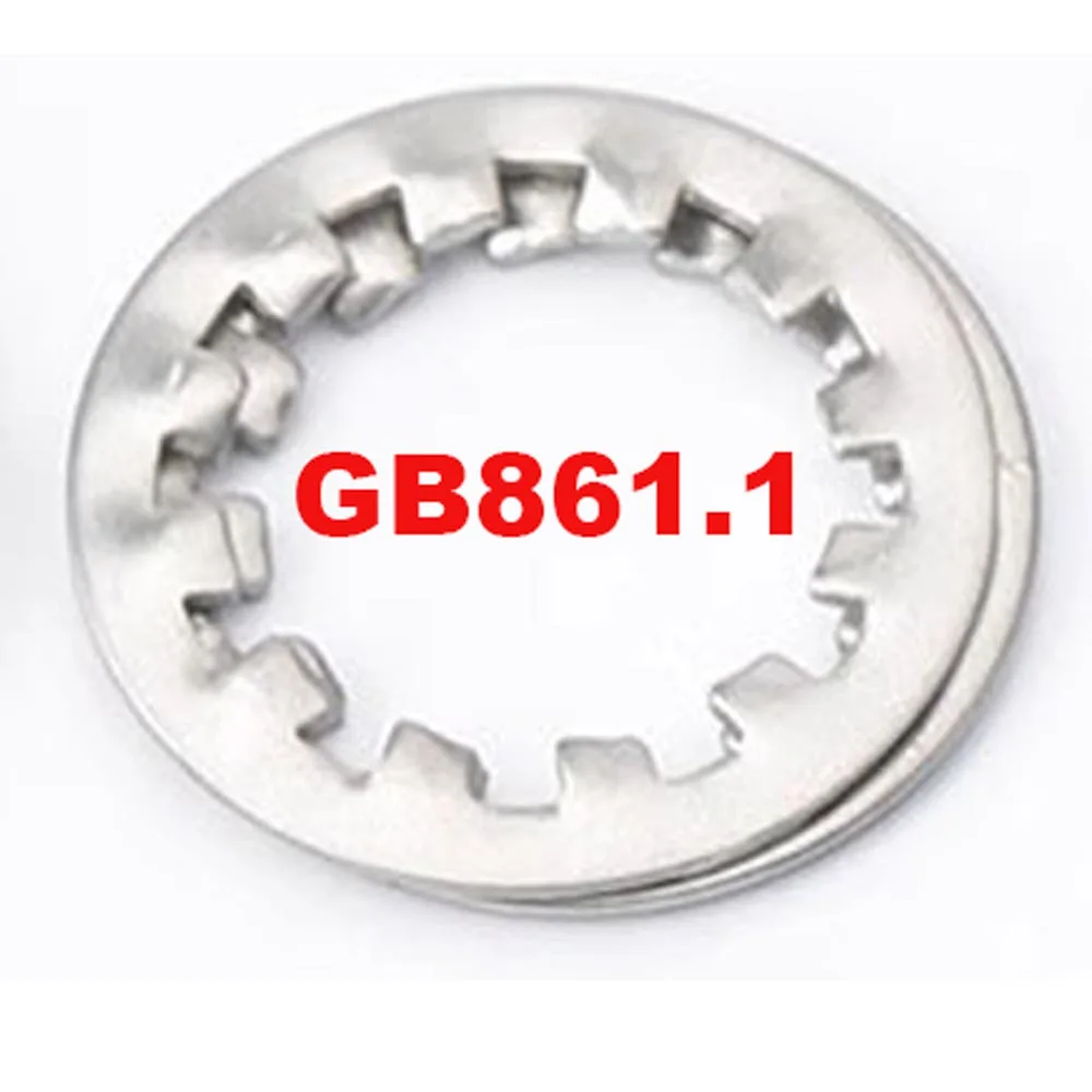 M2 M2.5 M3 M4 M5 M6 M8 M10 M12 M16-M24 4 Types 304 Stainless Steel Internal and External Toointethed Serrated Lock Washer Gasket