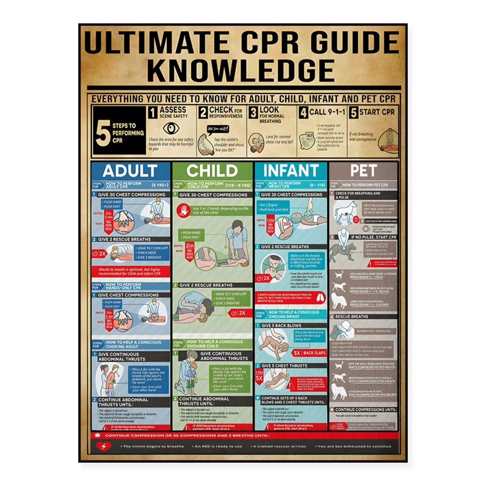 Le guide ultime de la RCP sur toile, affiche éducative sur la RCP, affiche médicale sur la RCP sur toile, cadeau guide RCP, décoration murale guide RCP