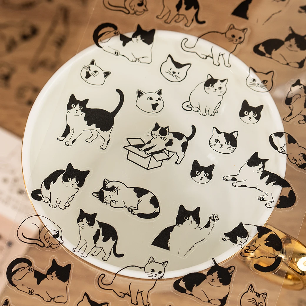 yZ[z2 V[g/obO킢̔L PET XebJ[ADIY XNbvubLOtHgt[R[WNtgpip