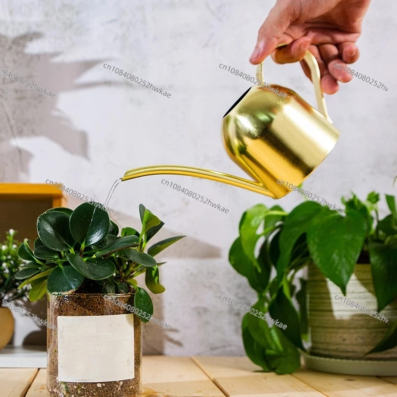 Stainless Steel Watering Can For Outdoor Plants, Long Spout Watering Pot, Watering Device, Meaty Bonsai Garden Tool, 500ml