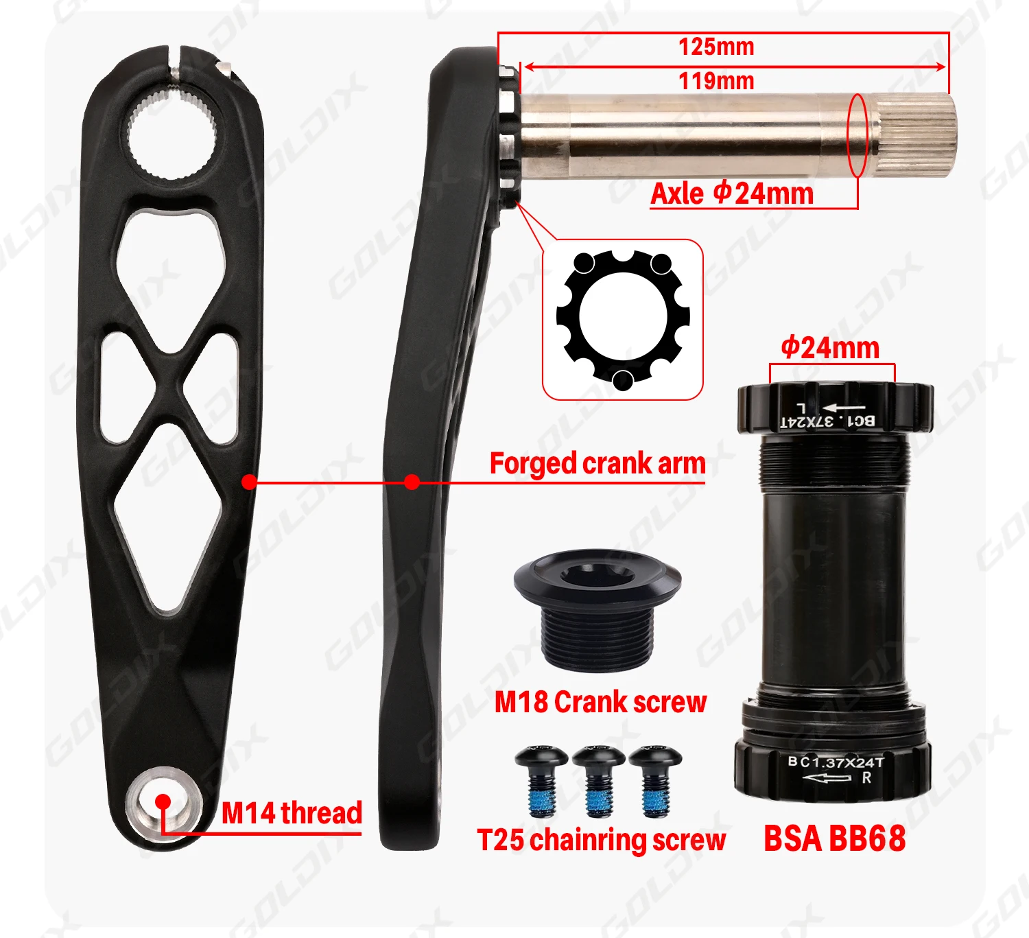 GOLDIX Hochfeste Fahrradkurbelgarnitur 165/170/175mm Geschmiedeter Legierungs-Kurbelarm 3-Bolzen-Direktmontage Schmal-Breit-Kettenblatt für MTB-Fahrrad – Detail 3
