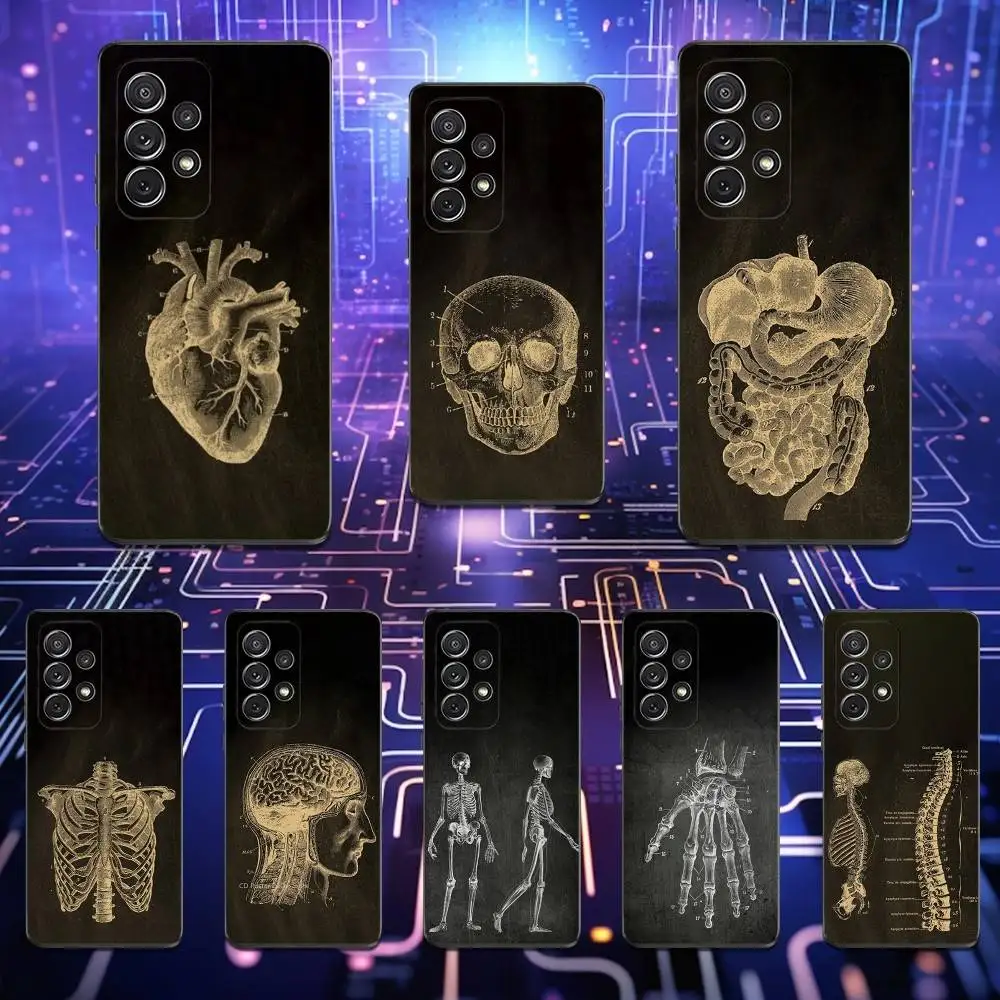 

Anatomy Skeleton Chalkboard Phone Case For Samsung S25,S24,S23,S22,S21,S20,S10,Ultra,Plus,Lite,FE,Soft Silicone Black Cover