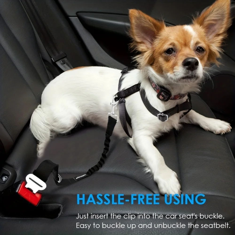Thumbnail 2 - #1 Latest Dog Leads Offers
