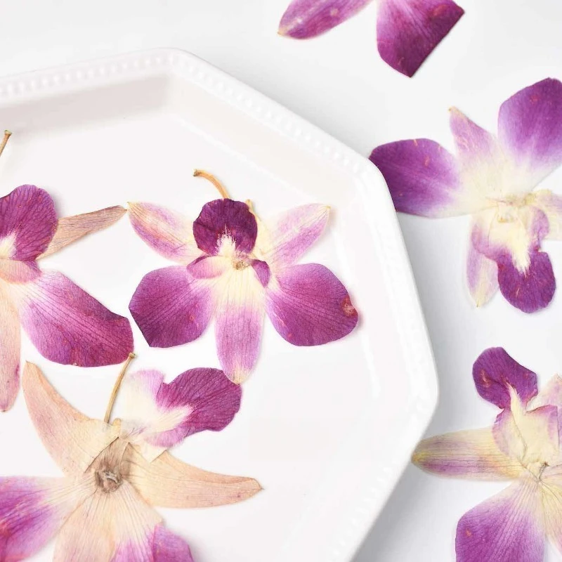 4pcs,Real Pressed Butterfly Orchid Flowers DIY Resin Art,Scrapbook,Photo Frame,Plant Specimen,Handmade Crafts,Teaching Materials