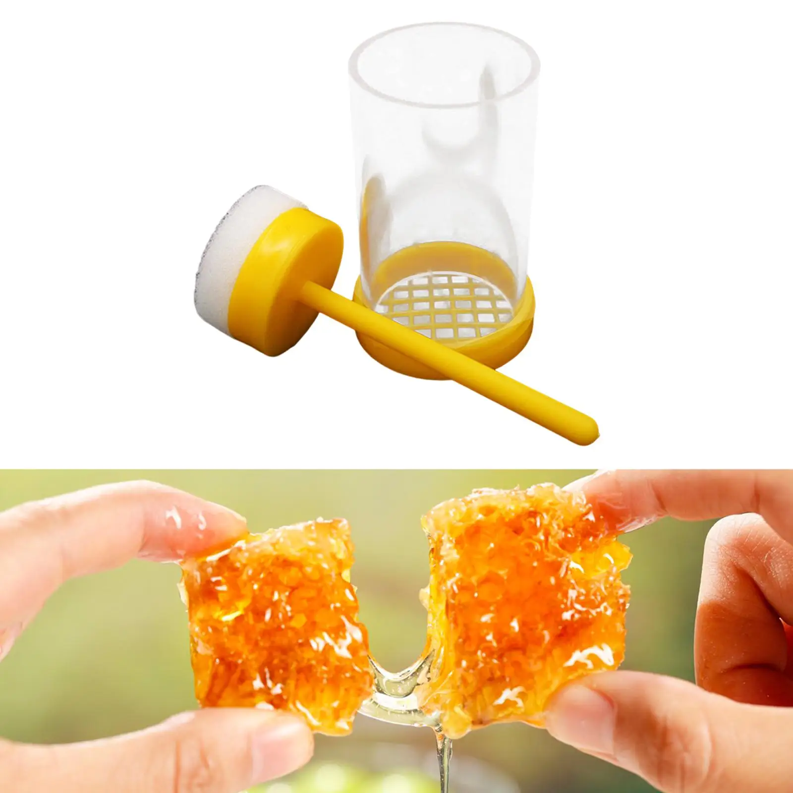 Queen Bee Marking Cage Plunger Type Beekeeper Tool for Accurate Queen Identification in Hive Inspection