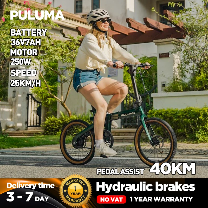 PULUMA PT20 Faltbares E-Bike aus Carbonfaser, 250W Motor, 36V7AH Akku, 20X2,0 Zoll Reifen, Hydraulische Bremsen