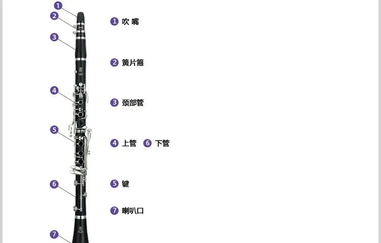 Rich Tones Wind Instrument for Professional Yamahas YCL-650 Professional Level Clarinet in B Flat