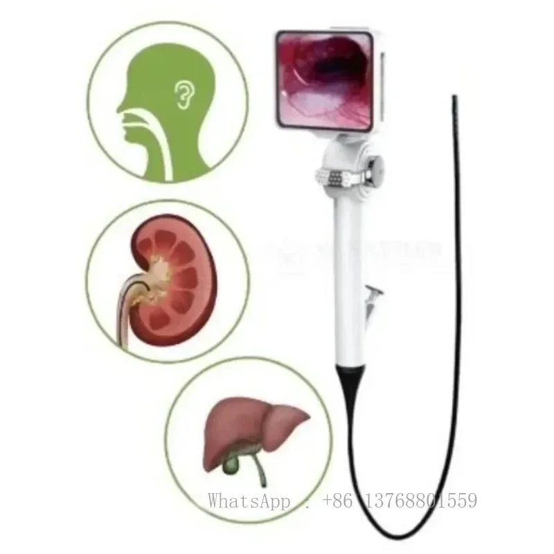 2025 New Flexible Video Endoscope Urology  2.8/3.8/4.8/5.8 Mm Portable Bronchoscopy Cystoscope Otoscope Laryngoscope