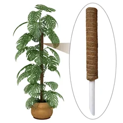 Coco Musgo Totem Pole para Trepadeiras, Suporte De Plantas, Escalada De Extensão, Plantas De Jardim Interior, 30 cm, 40cm